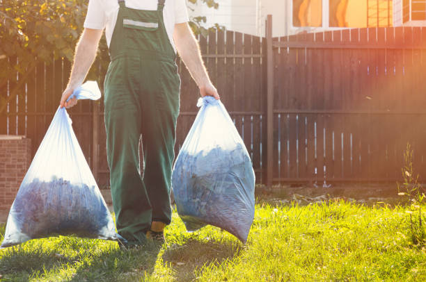 Best Electronics and E-Waste Disposal  in Canton, MO